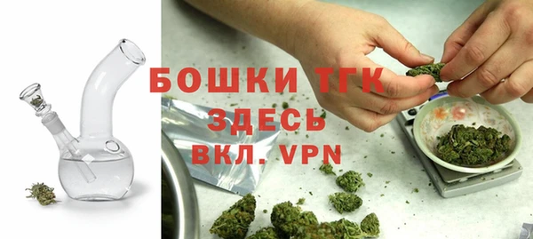 стаф Карпинск