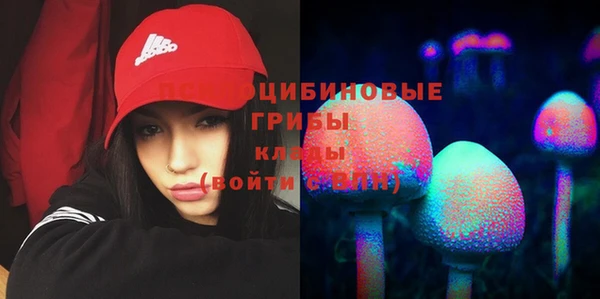 бошки Алексеевка