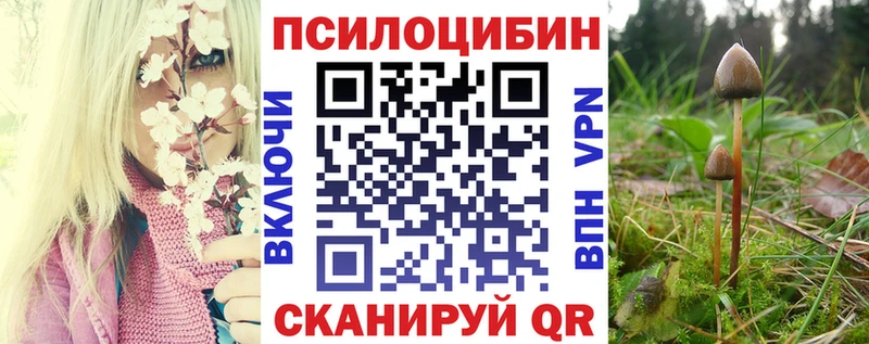 Галлюциногенные грибы GOLDEN TEACHER  купить  цена  ссылка на мегу ТОР  Махачкала 