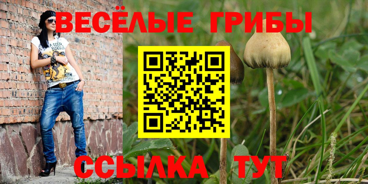 Псилоцибиновые грибы прущие грибы Махачкала