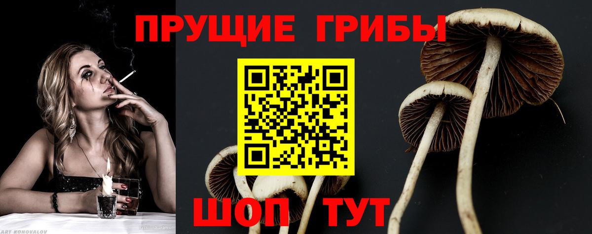 Махачкала  Псилоцибиновые грибы GOLDEN TEACHER  Вход с VPN 